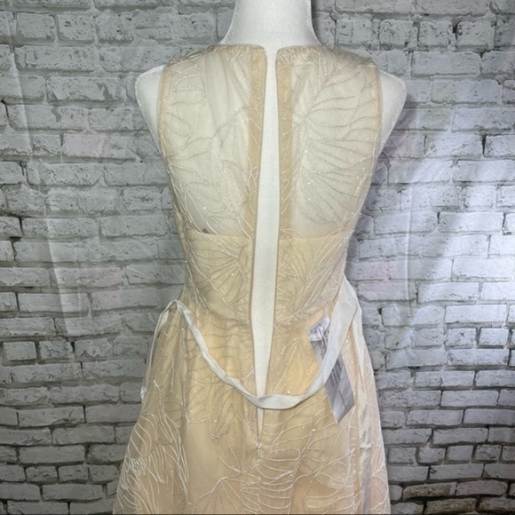 BCBG Off White Sheer Yoke MIDI Dress 4 - Picture 16 of 16